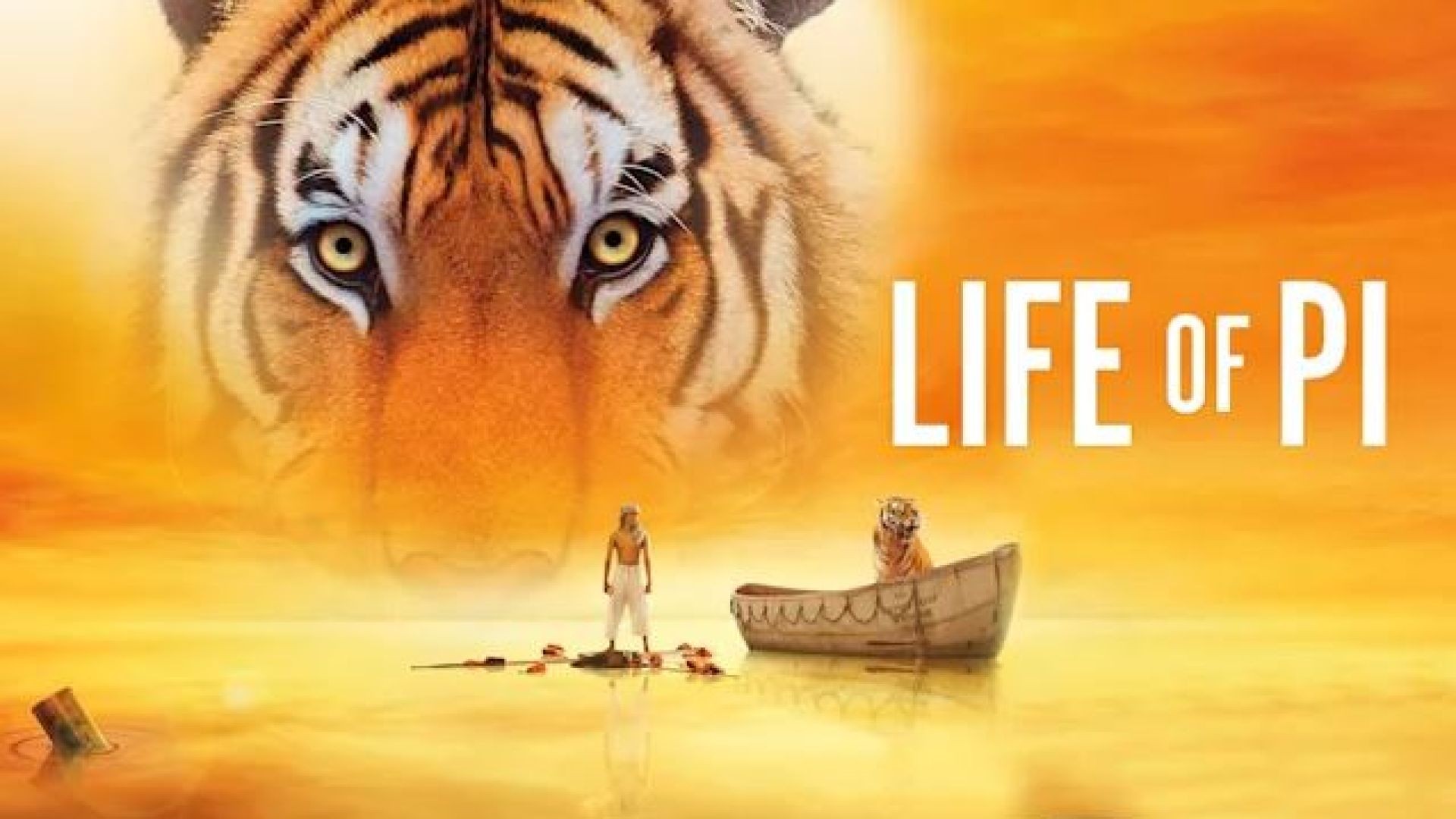 Life of Pi (2012) Dual Audio [Hindi – English] BluRay 480P