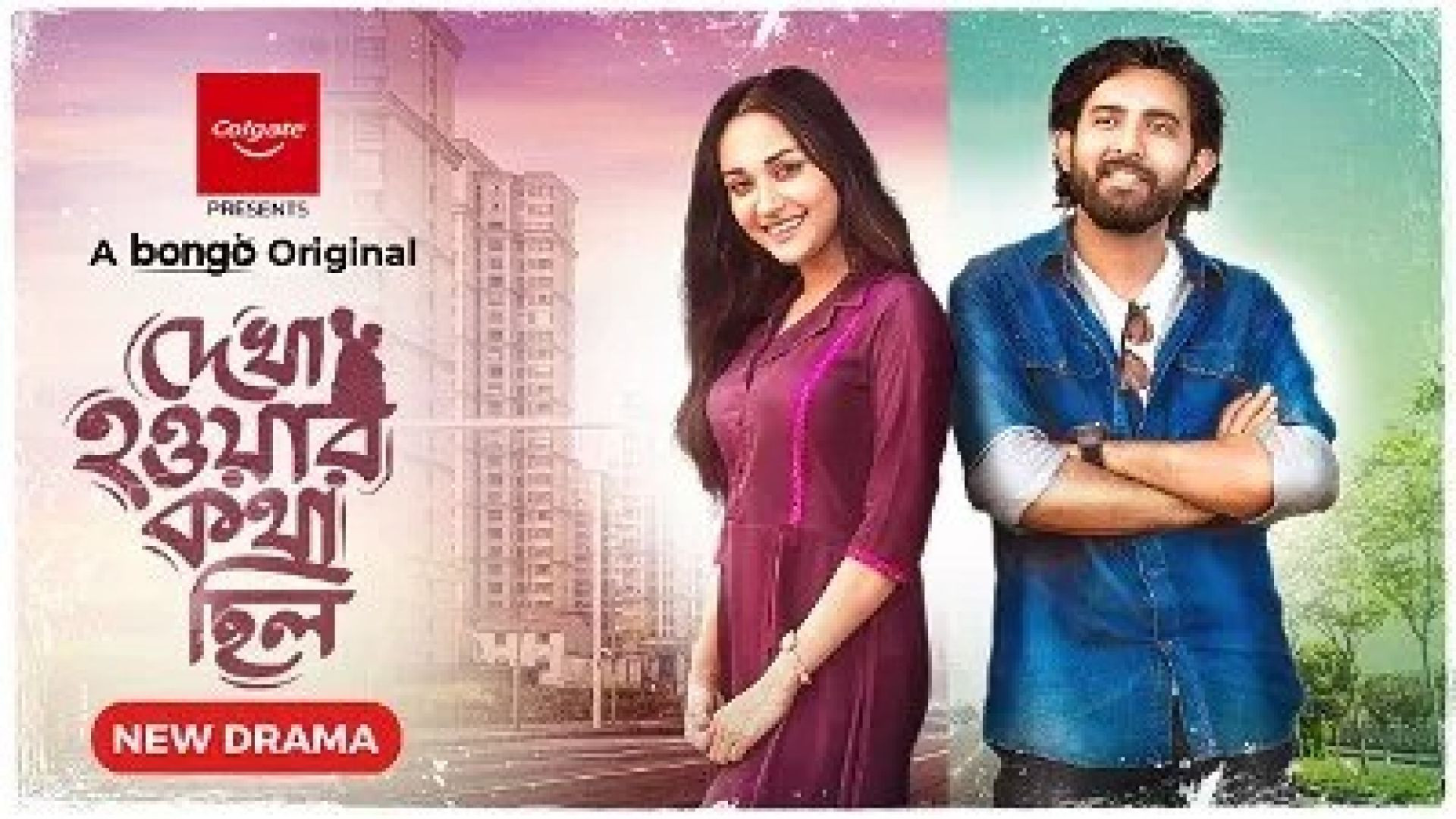 Dekha Howar Kotha Chilo (2024) Bengali Bongo WEB-DL 1080P